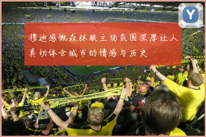 穆迪感慨森林狼主场氛围深厚让人真切体会城市的情感与历史